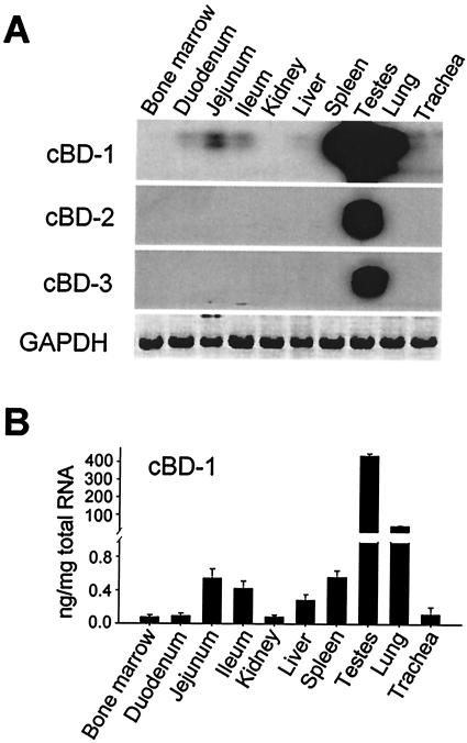 FIG. 5.