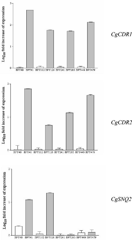 FIG. 3.