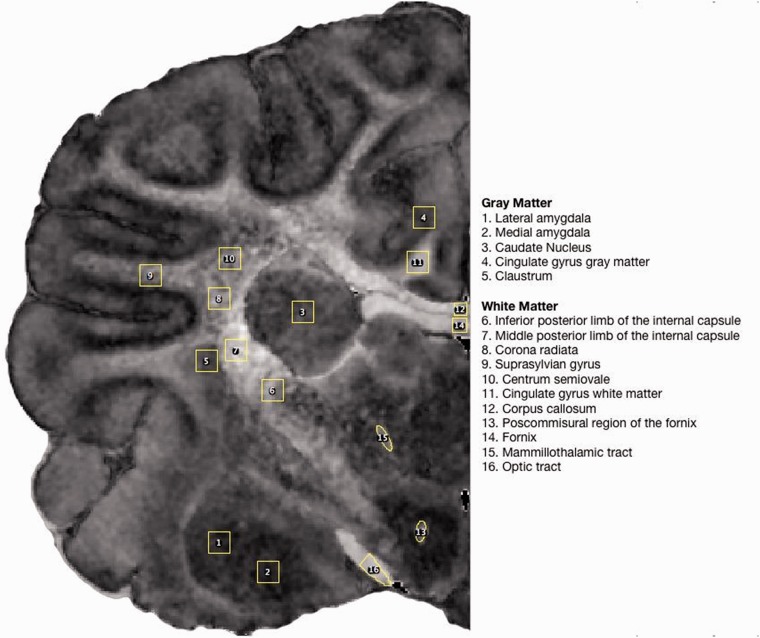 Figure 2.