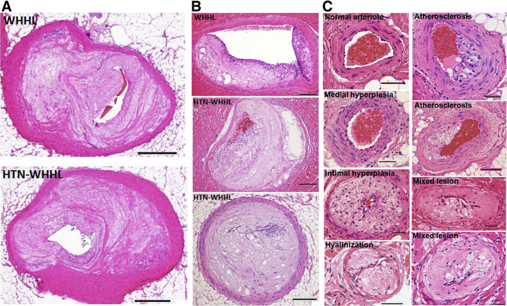 Figure 3