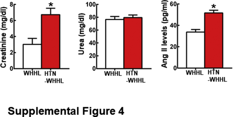 Supplemental Figure S4