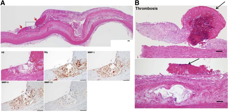 Figure 7