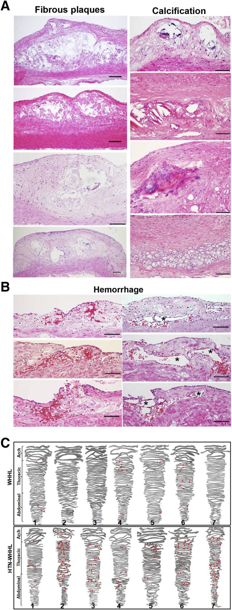 Figure 6