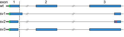 Fig. 3.