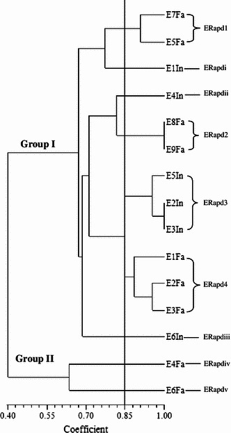 Fig. 4