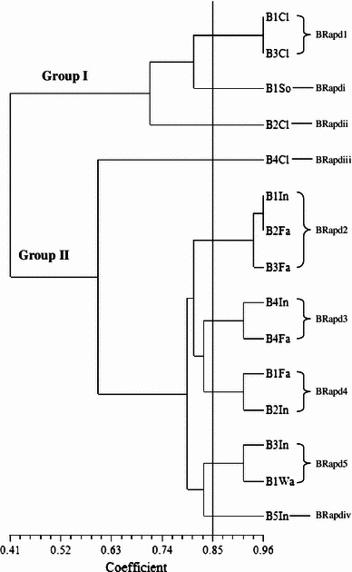 Fig. 5