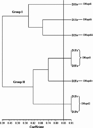 Fig. 7