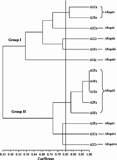 Fig. 6