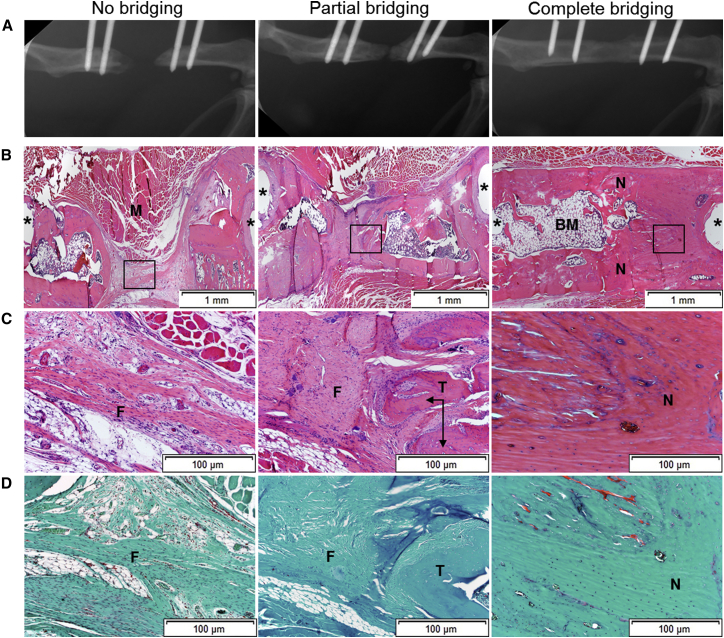 Figure 3