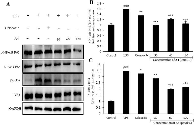 Figure 6