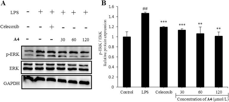 Figure 7