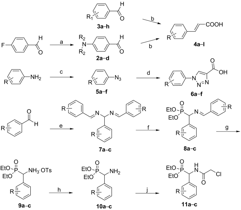 Scheme 1