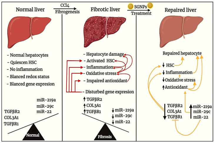 Figure 14