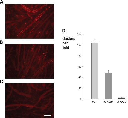 Figure 6.