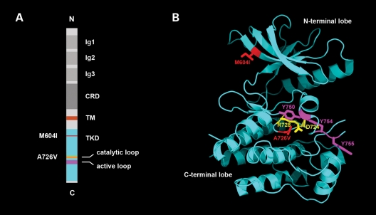 Figure 2.