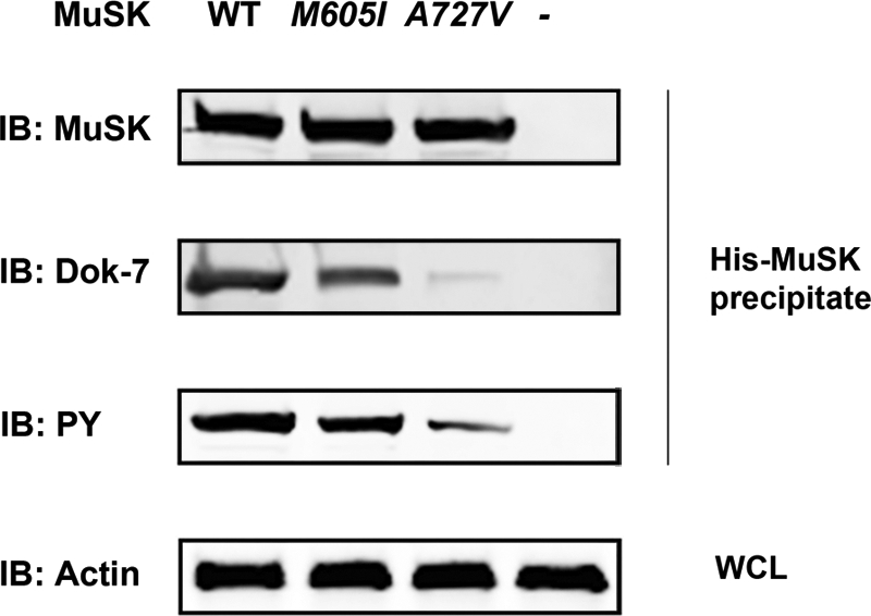 Figure 5.