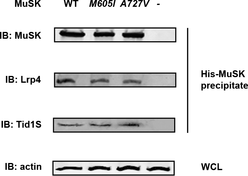 Figure 7.