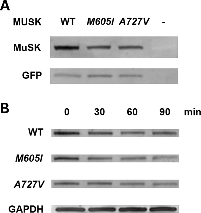 Figure 4.