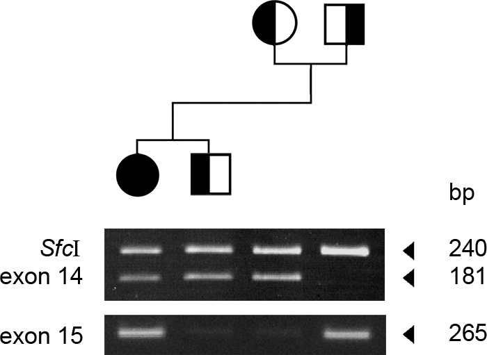 Figure 3.