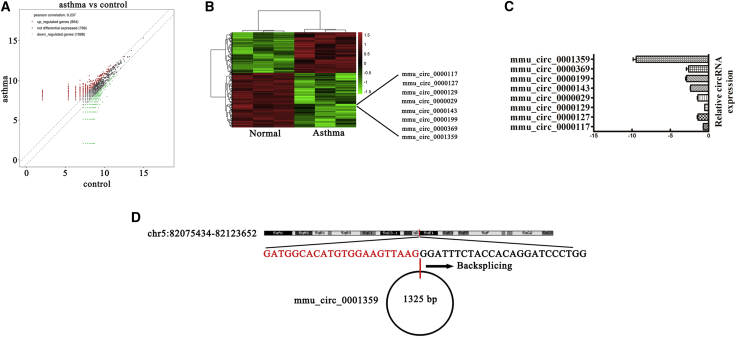 Figure 1