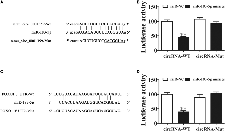 Figure 4