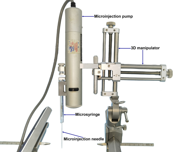 Figure 7