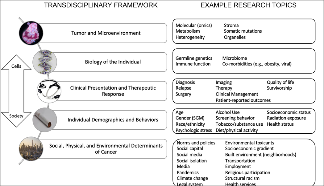 Figure 2: