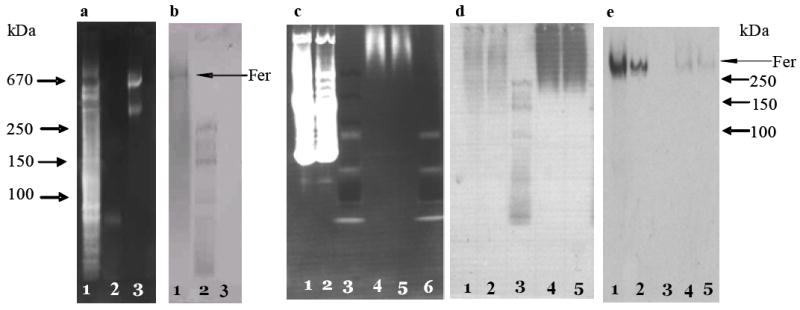 Fig.3