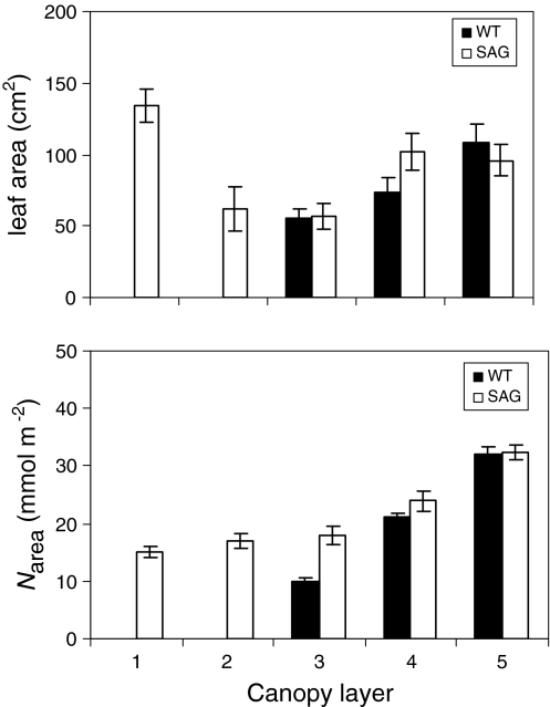 Fig. 6