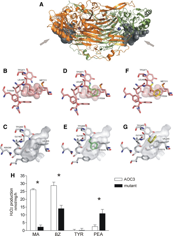 Fig. 4