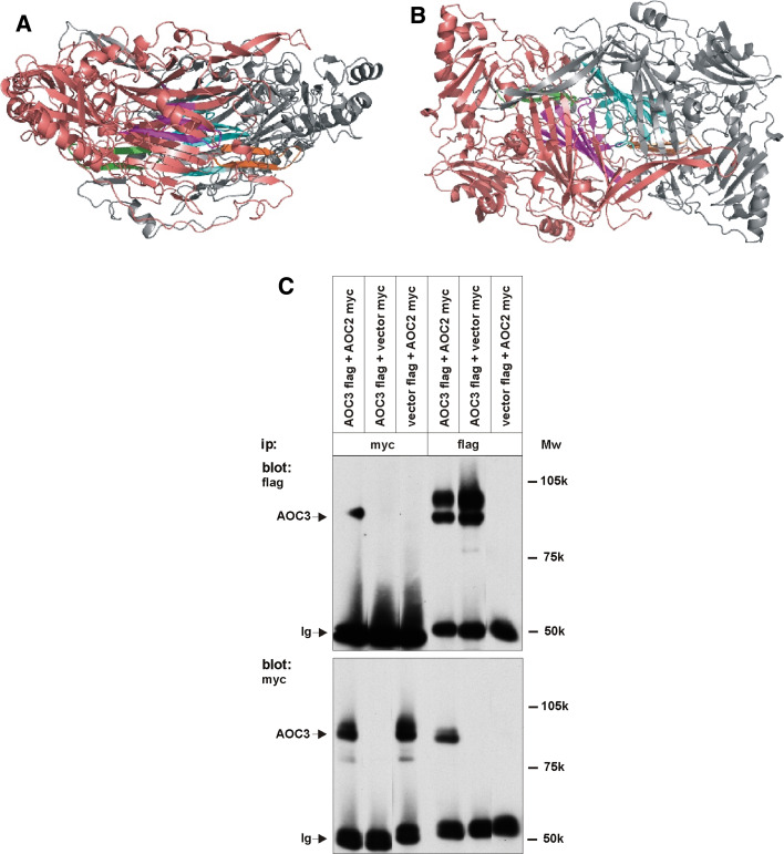 Fig. 6