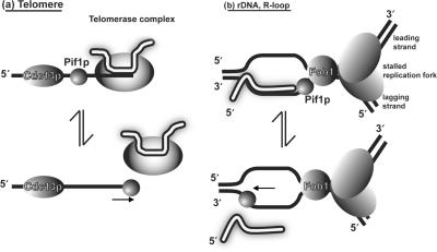 Figure 8.