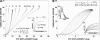Fig. 12
