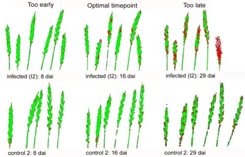 Figure 5.