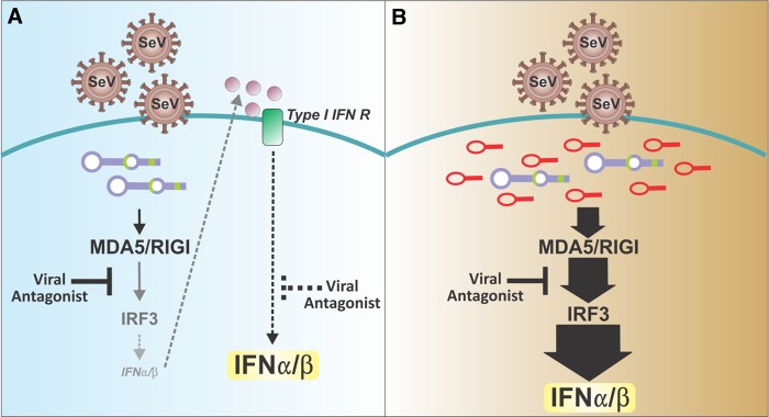 FIG 1