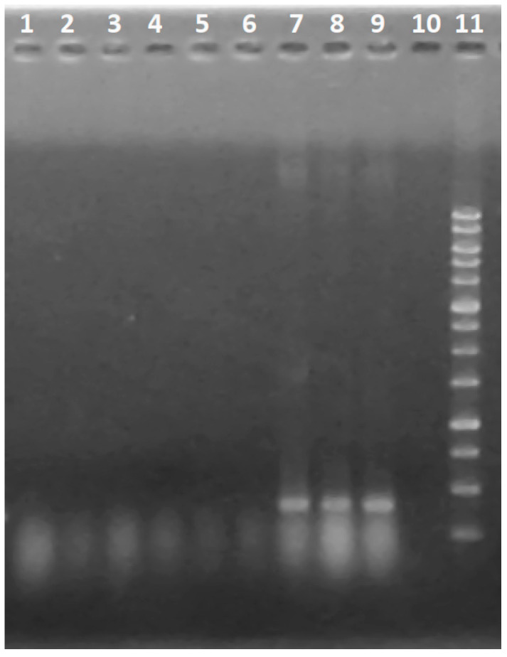 Figure 9