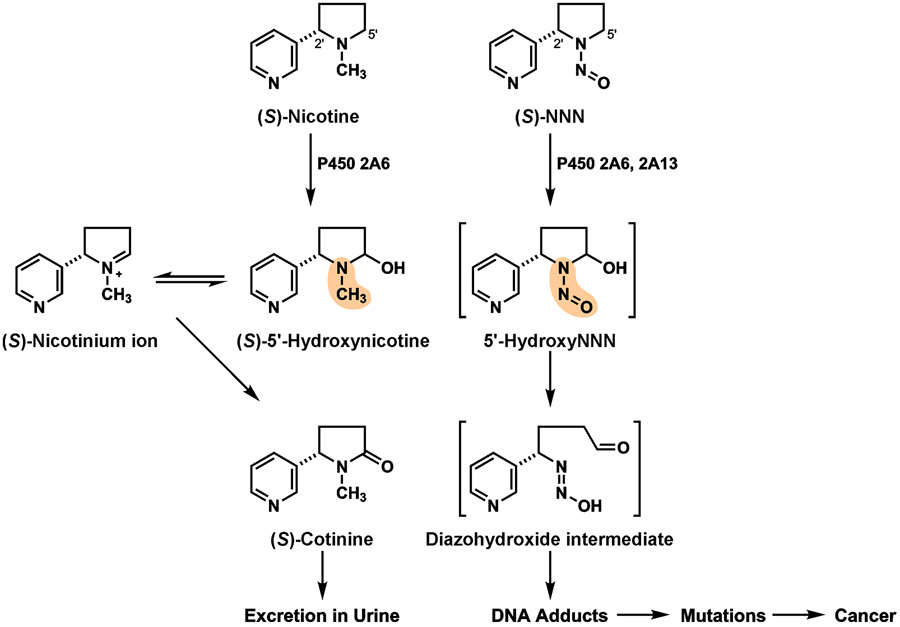 Figure 3 ∣