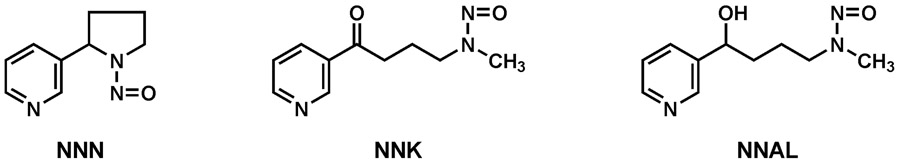 Figure 2 ∣