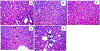 Fig. 7.