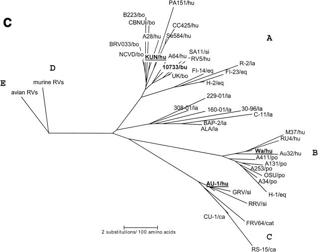 FIG. 4.