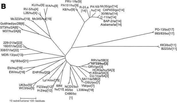 FIG. 4.