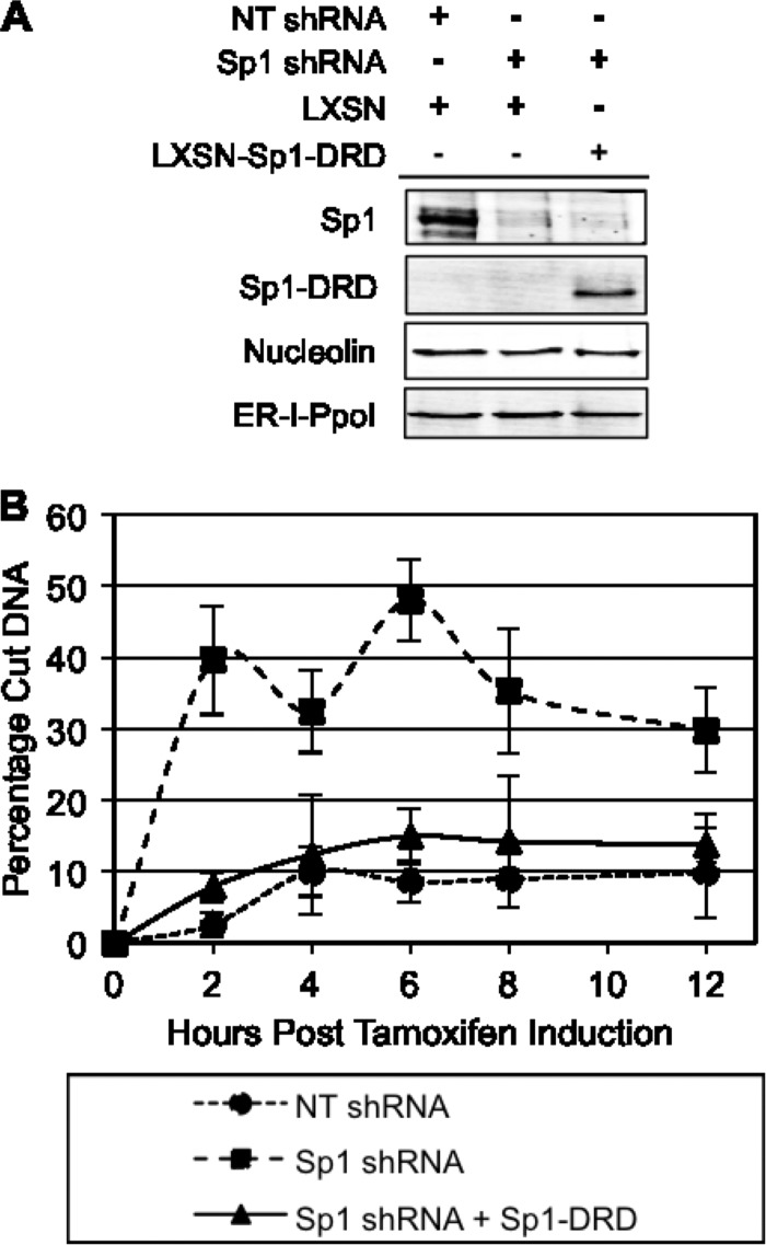 Fig 7