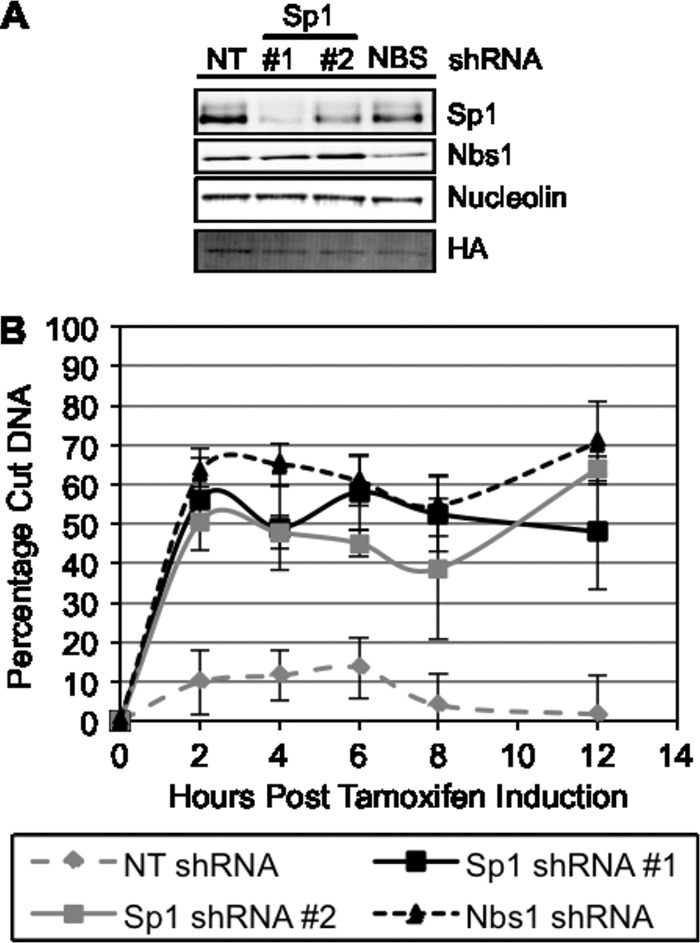 Fig 5