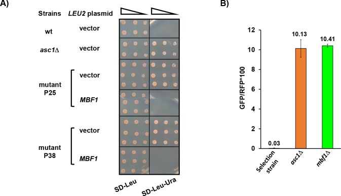 Figure 1—figure supplement 2.