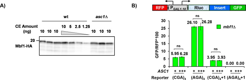 Figure 3—figure supplement 2.