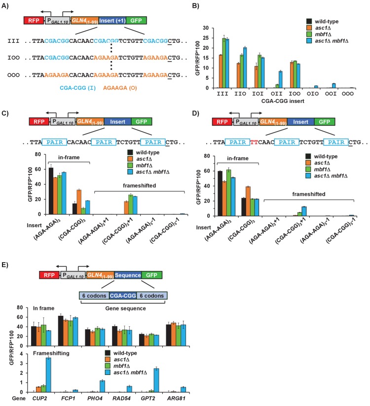 Figure 4—figure supplement 2.