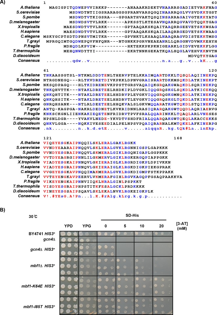 Figure 1—figure supplement 3.