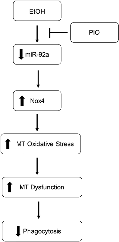 Figure 6: