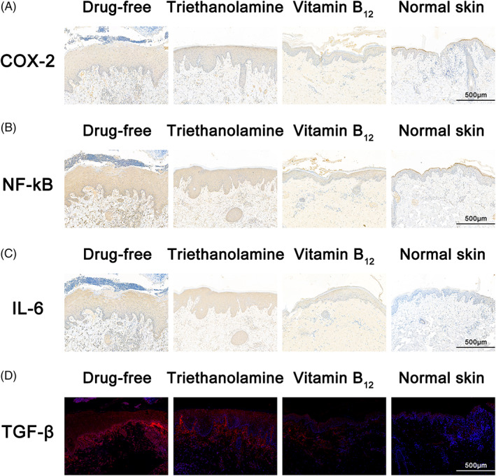 FIGURE 4