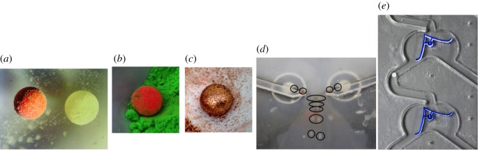 Figure 10.